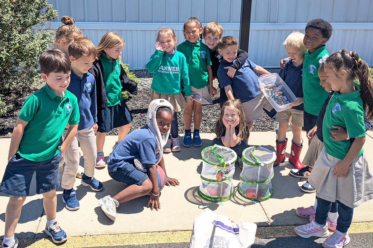 Bringing Butterflies to Life in Kindergarten