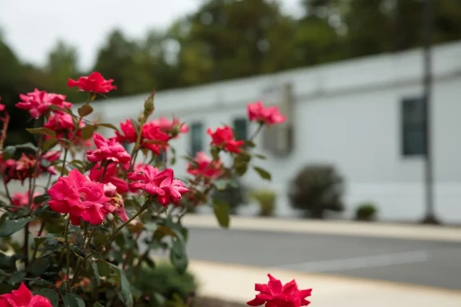 Banner Christian School Chesterfield Campus