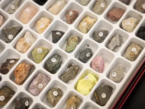 Cameron Noon Science Class